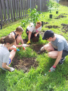 GWNOLA Green Team planting