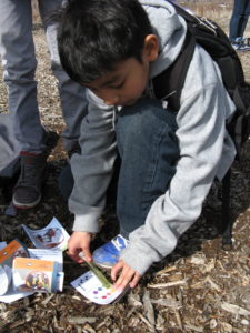 5th grader at Fletcher Intermediate Science and Technology School, Aurora CO., checks pH. Photo: Earth Force