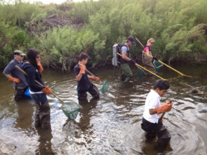 Students and biologists conduct electro-shock fish sampling as part of a replication of a water quality study on Westerly Creek in Denver and Aurora, CO. Photo: Earth Force