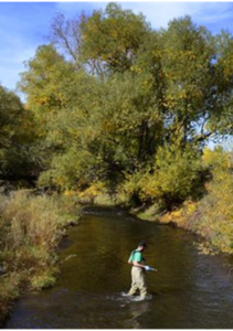 A probe is used to test water quality. Photo: GW Denver