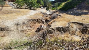 A view of Centennial Creek Restoration Project area in Paso Robles, CA. Photo: Upper Salinas Las Tablas Resource Conservation District