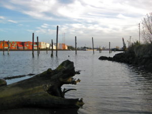 The Duwamish River