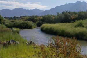 Jordan River, Salt Lake County, Utah. Photo: Jordan River Commission.